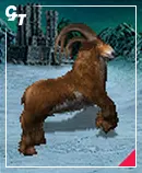 Jednostka Muflon miasta Warownia w Heroes 3 HotA