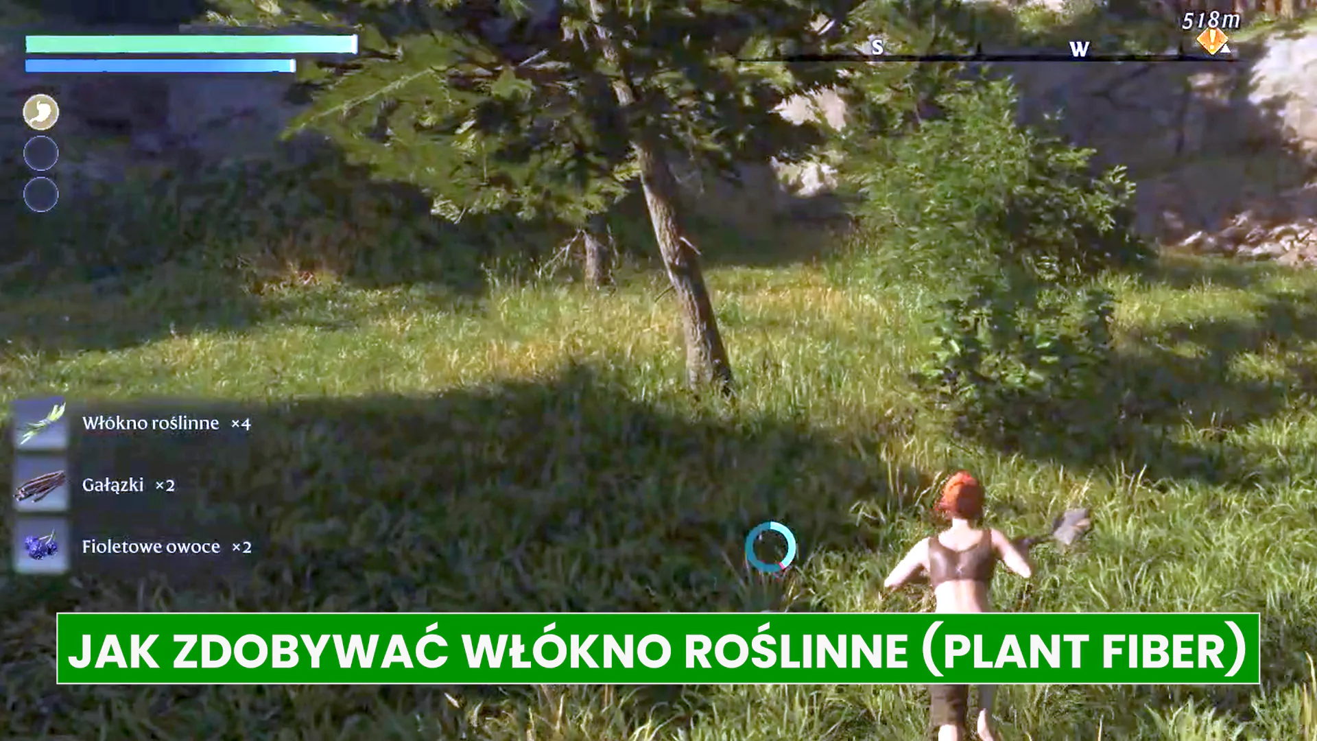 Enshrouded – włókno roślinne (Plant Fiber), jak zdobyć