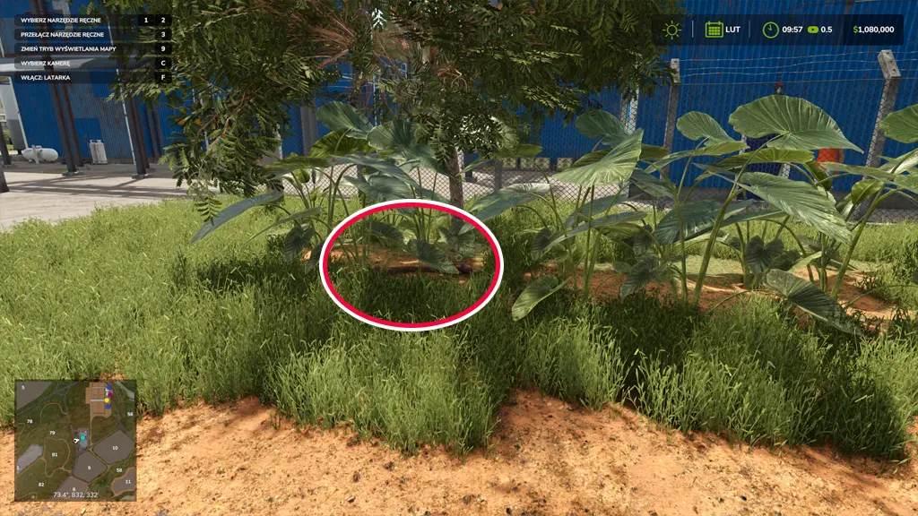 FS25 - Mapa znajdźki - Catuai - kości dinozaurów