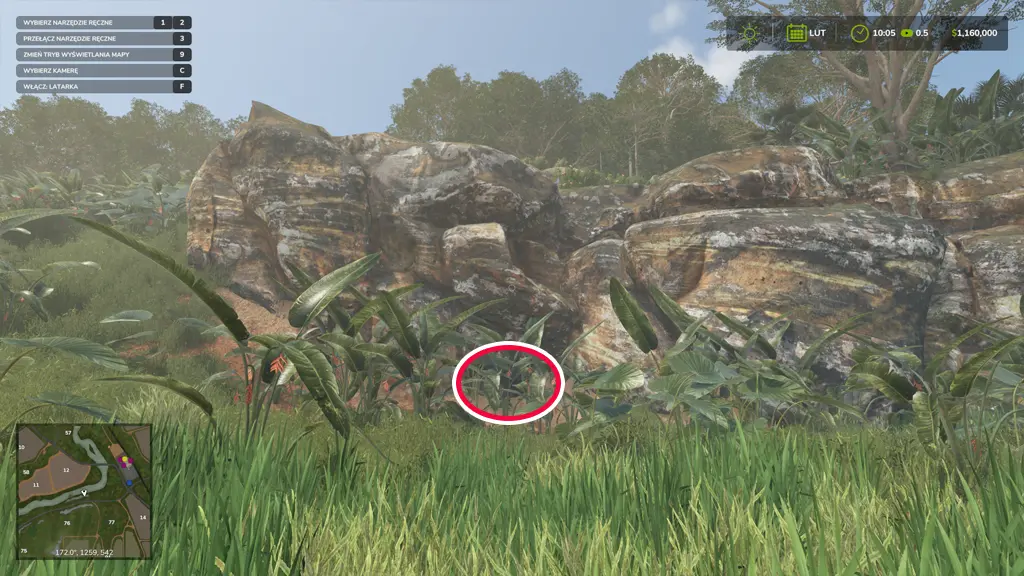 FS25 - Mapa znajdźki - Catuai - kości dinozaurów