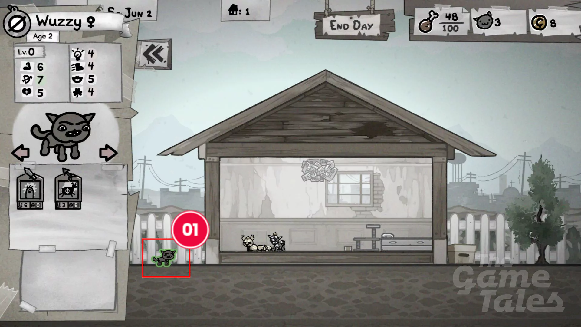 Jak mieć więcej kotów w Mewgenics? Rozmnażanie (Breeding) i przygarnianie przybłęd (Stray Cat)