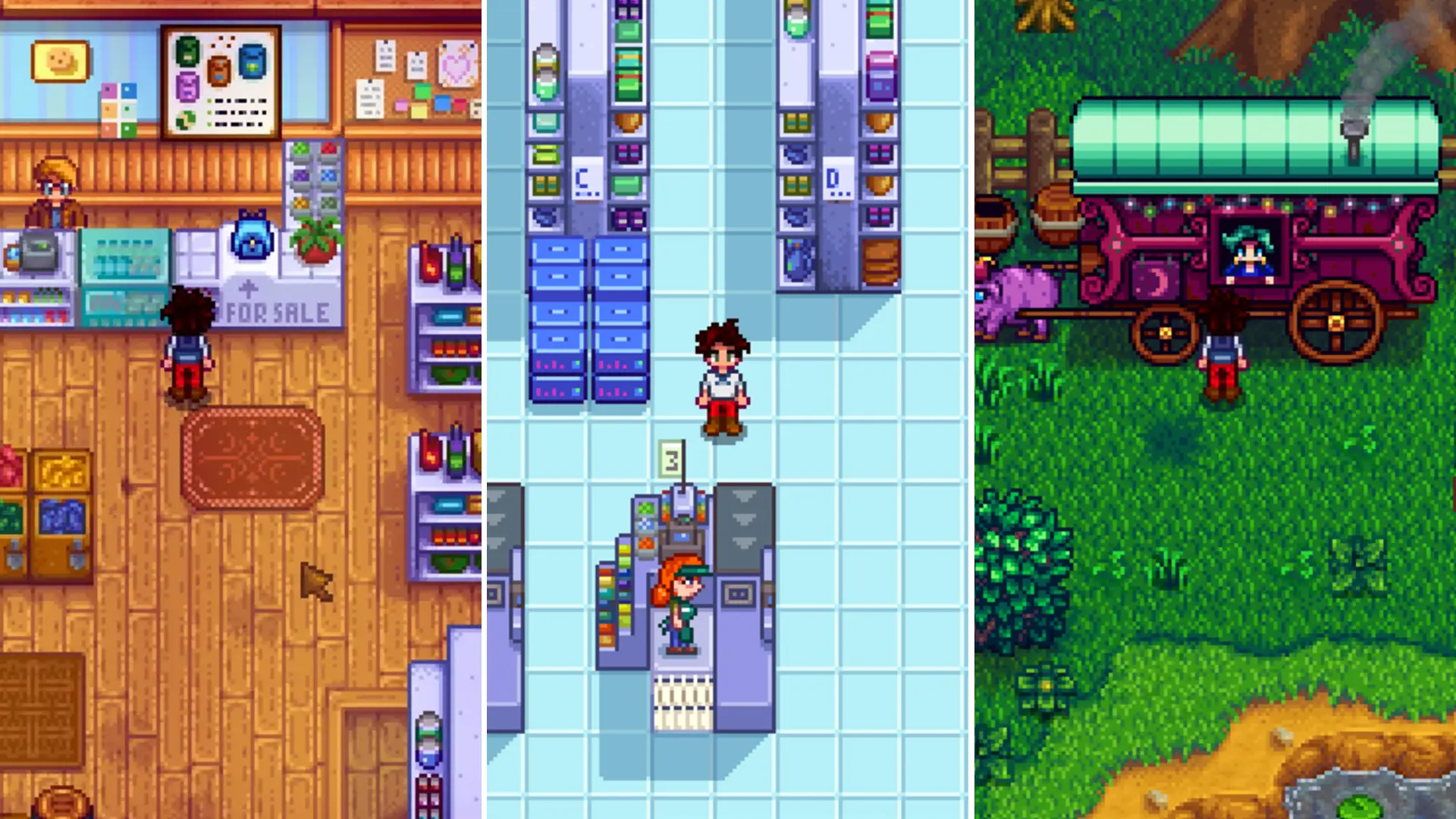 Stardew Valley – gdzie kupić nasiona, sklep Pierre’a, JojaMart